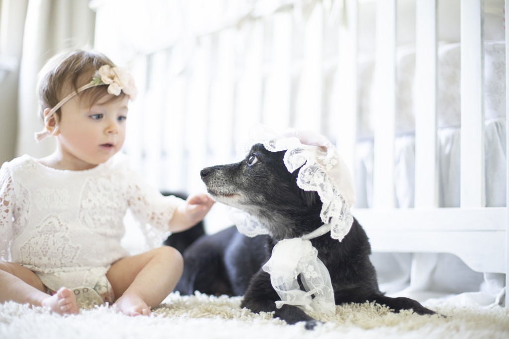 birthday photoshoot with baby girl and her dog 