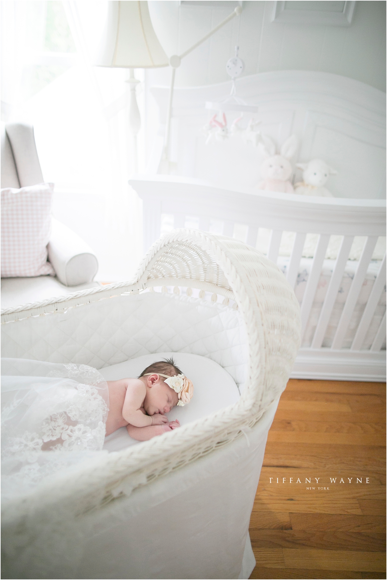 baby girl in bassinet lifestyle newborn session