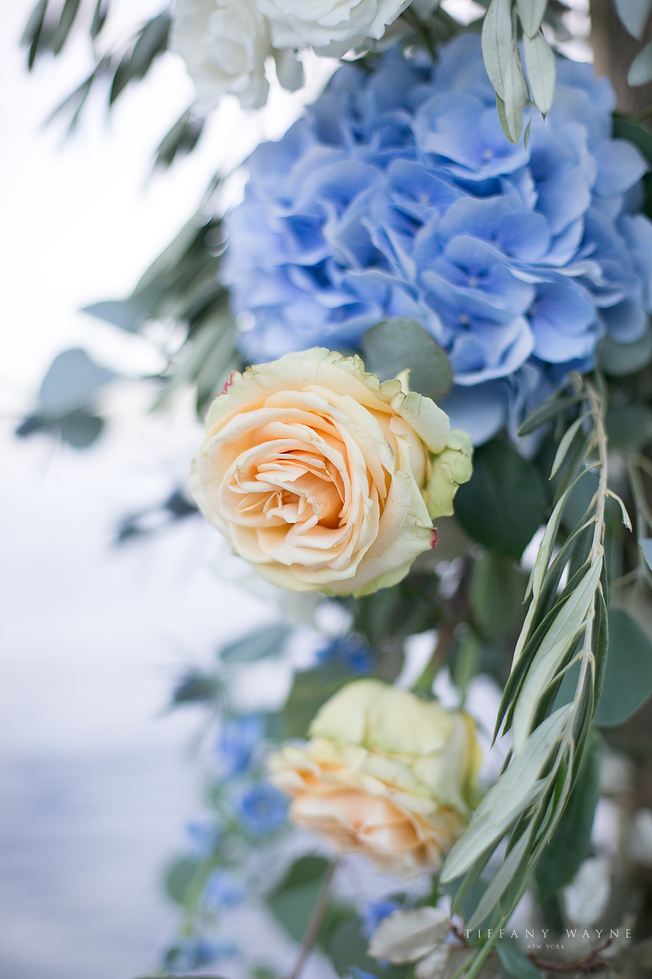 floral details photographed by wedding photographer Tiffany Wayne 