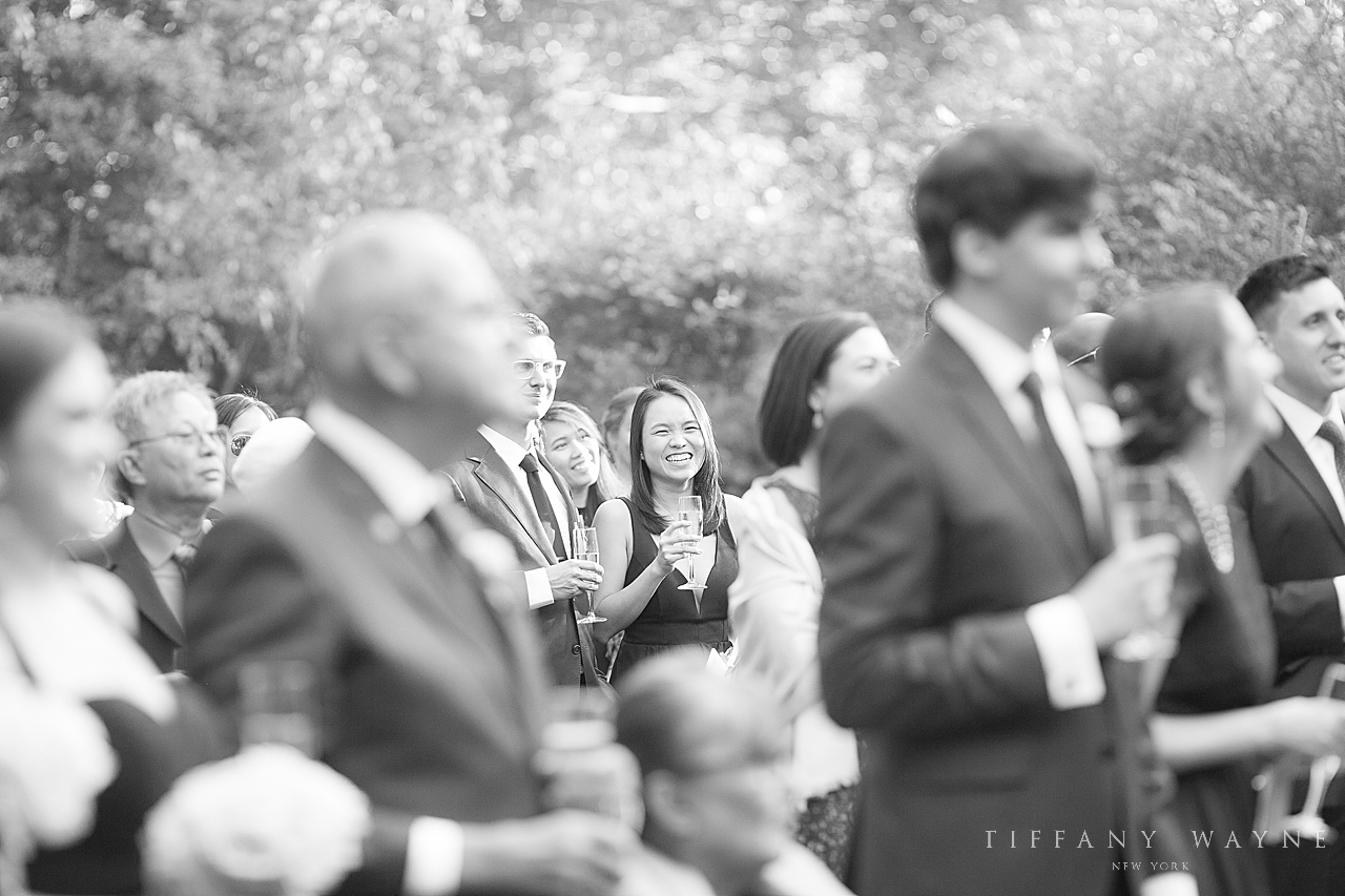 joyful wedding toasts photographed by wedding photographer Tiffany Wayne Photography