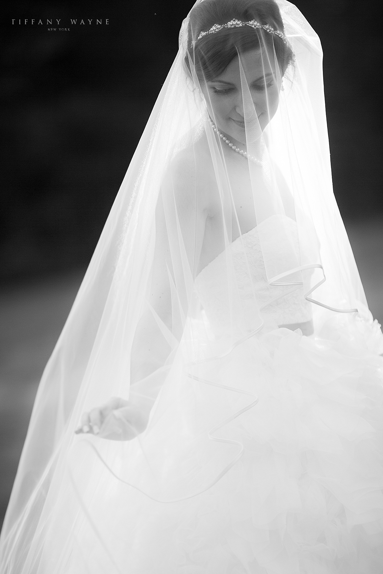classic bridal portrait with wedding photographer Tiffany Wayne Photography